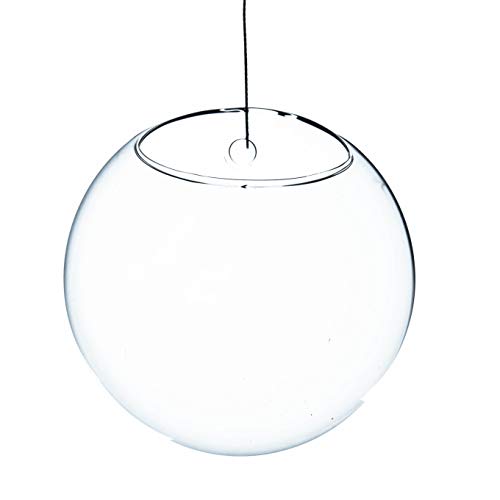 WGV Wall Hanging Planter Terrarium Bulk, Diameter 5", Clear Mounted DIY Succulents Air Glass Floral Container Vase, Tea Light Votive Candle Holder for Decoration 6 Pieces - size: 5"D