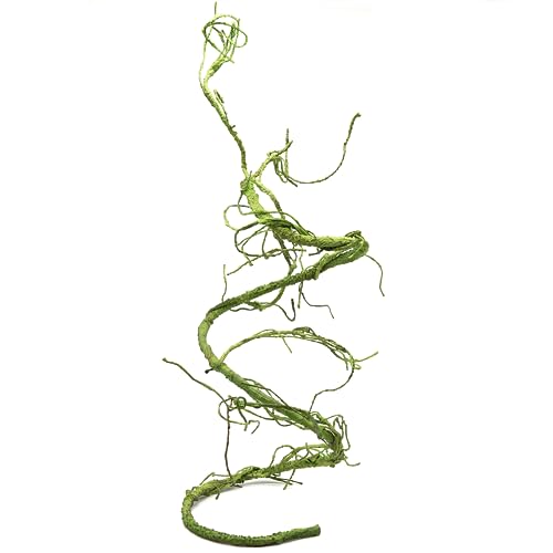 Pangea Reptile Ultimate Vine for Terrarium Habitat (Green) | 6 ' Long Large Diameter Foam Vine for Reptile Enclosures, Bendable, Humidity Resistant, Bendy Offshoot Branches - color: Green