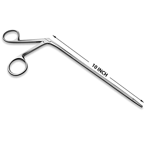 Precise ENT Procedures with Alligator Ear Forceps - Curved Jaw Design, Non-Slip Grip Handle, Fine-Tip, Reusable and Easy to Clean - 10 Inches - size: 10 Inch