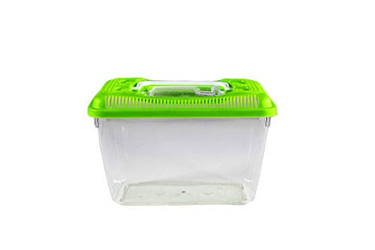 Penn-Plax Small World Habitat – Portable Clear and Transparent Plastic Tank – Excellent for Small Critters and Creatures – Easy to Clean & Handle – 0.6 Gallon - size: 0.6 Gallon