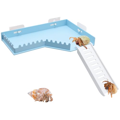 No-Drill Climbing Platform with Ramp, Hermit Crab Climbing Wall & Hideout, Multi-Level Platform with Ladder, No-Tools Mounting for Geckos, Small Lizards, Hamsters - color: Blue