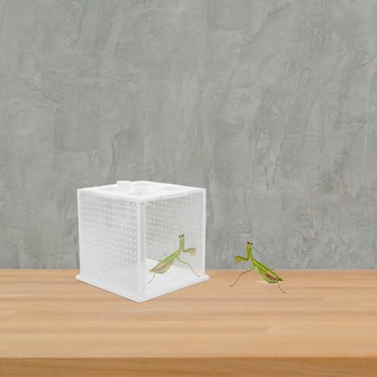 VICASKY Reptile Feeding Box Breeding Terrarium Habitat Container for African Phantom Mantis and Stick Insects Suitable for Insect Breeding