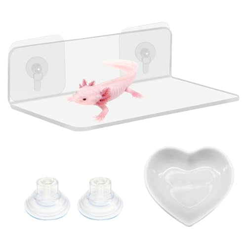 2-in-1 Axolotl Tank Accessories Set, Transparent Acrylic Shelf with Suction Cups and Adhesive Pads, Ceramic Heart Shape Feeding Dish, Food Bowl for Axolotl, Habitat Aquarium Decor