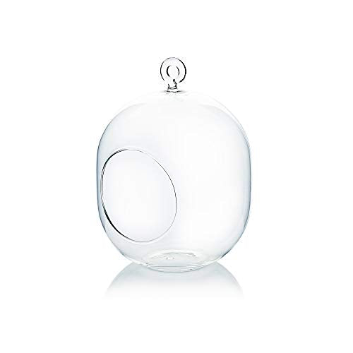 WGV Hanging Glass Plant Terrarium, Width 5", Height 6", Lantern DIY Air Succulent Planter Clear Tea Light Votive Candle Holder, Wedding Event Office Home Outdoor Decor, 1 Piece