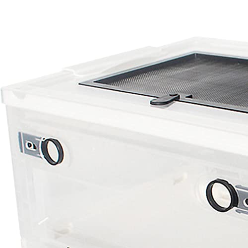 Foldable Reptile Feeding Box, Hamster Breeding Box, Transport House, Pet Cage Habitat for Frog Scorpion, White