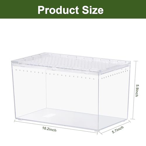 Tarantula Enclosure Spider Terrarium Hermit Crab Tank Starter Kit | Escape Proof PC Reptile Habitat 10.2" x 5.9" x 5.7" Full View for Isopods Bug Insect Frog Gecko - size: M-Starter Kit