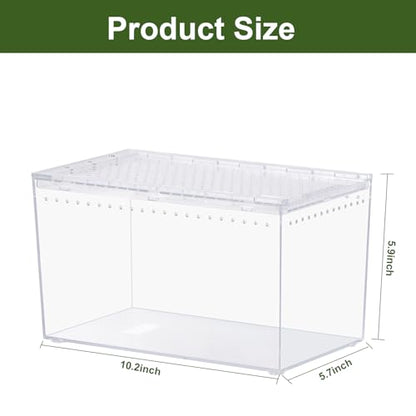 Tarantula Enclosure Spider Terrarium Hermit Crab Tank Starter Kit | Escape Proof PC Reptile Habitat 10.2" x 5.9" x 5.7" Full View for Isopods Bug Insect Frog Gecko - size: M-Starter Kit