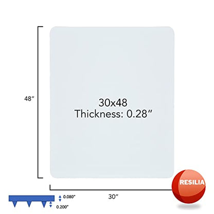 RESILIA Under Pet Cage Mat for Bird Cages, Reptile Aquariums, Dog Kennels, Water-Resistant Pad for Carpeted Floors and Surfaces, 30 Inches x 48 Inches, Clear - color: Clear