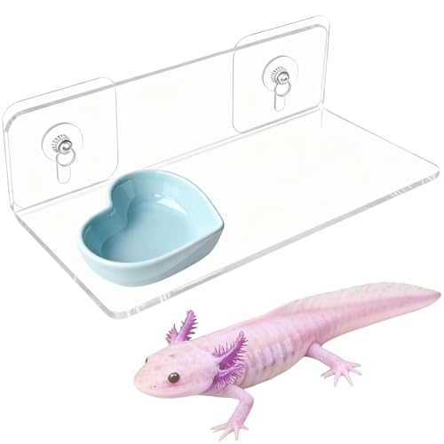 Axolotl Feeding Shelf with Feeder Bowl, Axolotl Hammock for Aquarium with Feeding Tray, Axolotl Tank Accessories for Bearded Dragons, Geckos, Lizards, Hamsters, Crabs - color: Feeding Shelf with Blue Feeder Bowl