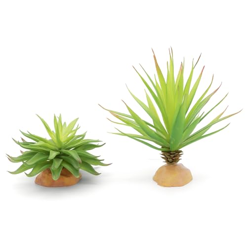 JIHAQUA Reptile Terrarium Decor 2-Piece Realistic Succulent Set | Lifelike Plastic Plants, For Geckos, Bearded Dragons, Snakes, Turtles, Lizards, Insects, Reptile Habitats - color: Green