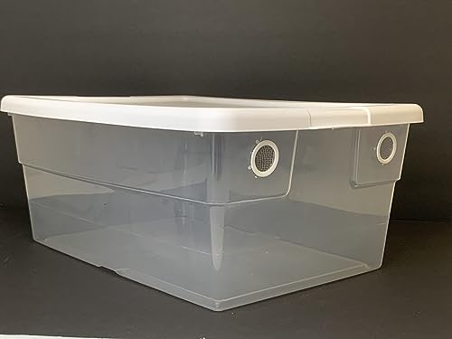 Vented Vivarium 16 Quart Container with 2 Vent Terrarium for Isopods, Reptiles, Scorpions, and Other Invertebrates