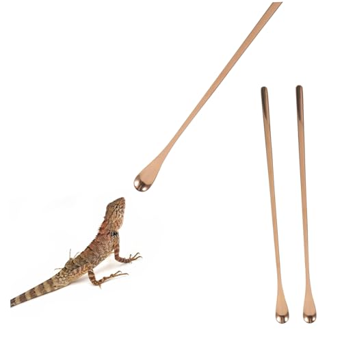 BESPORTBLE 2pcs Ergonomic Reptile Food Spoon Long Handle Feeding Tool for Lizards Geckos and Small Animals Portable and Lightweight Rose Gold Design - color: Rose Gold