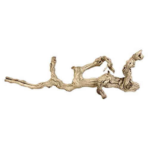 Koyal Wholesale 18" Natural Grapevine, Sandblasted Reptile Wood Branches, Terrarium Grapewood, Reptile Branch, Grapewood Branch, Grapevine Wood for Wedding Centerpieces, Branch Decor