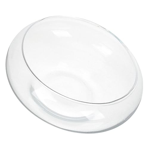 BESPORTBLE Clear Fish Bowl Vase Bubble Bowl Wide Mouth Flower Vase Round Shallow Planter Terrarium Aquatic Plant Pot Daffodil Pot Hydroponic Planter Fish Tank Bowl - size: 25.00X25.00X10.00CM
