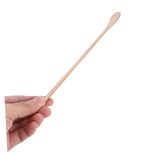 BESPORTBLE 2pcs Reptile Food Feeding Spoon Handle Stainless Steel Scoop for Lizards Small Animals Convenient Pet Feeding Tool for Reptiles