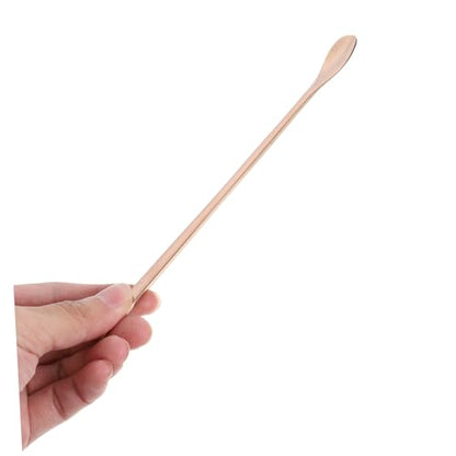 BESPORTBLE 2pcs Reptile Food Feeding Spoon Handle Stainless Steel Scoop for Lizards Small Animals Convenient Pet Feeding Tool for Reptiles