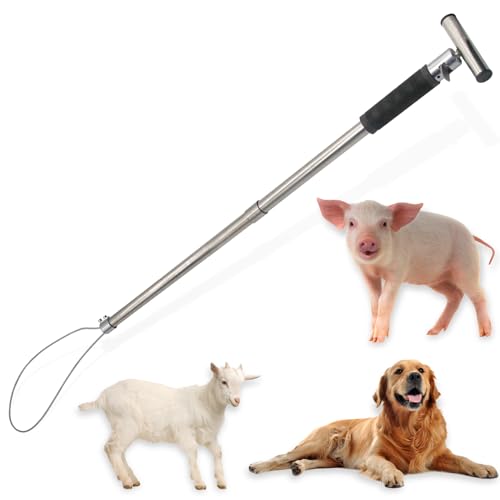 Dog Catcher Pole, Portable Animal Control Pole Tool | 30'' Hog Pig Catcher,Stainless Steel,Anti-Slip,For Pig Dog Goat Animals Swine,Livestock Farm Equipment