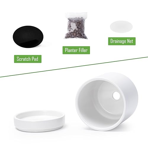 D'vine Dev 4-Pack Ceramic Pots with Saucers, White, 4.7 in, 94-X-B-1 | Glazed Ceramic, Drainage Hole and Saucer, Sleek Cylinder Shape, High Temperature Fired, Ideal for Small Houseplants - color: White, size: 4.7 Inch