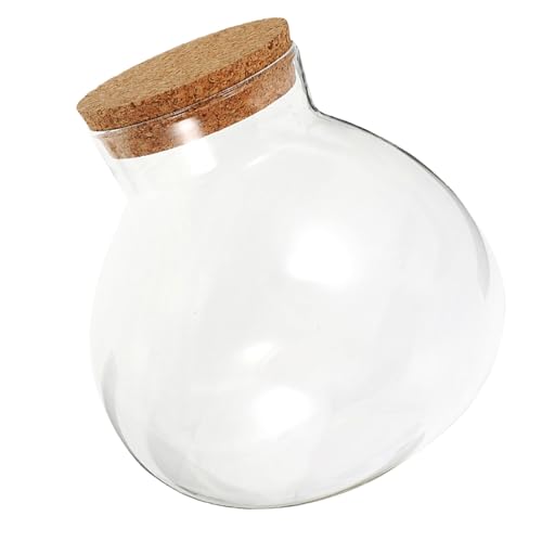 Glass Terrarium Jar with Cork Lid for Micro Landscape Plants, 13cm Round Ecosystem Bottle Suitable for Succulent, Moss, and Desk Display