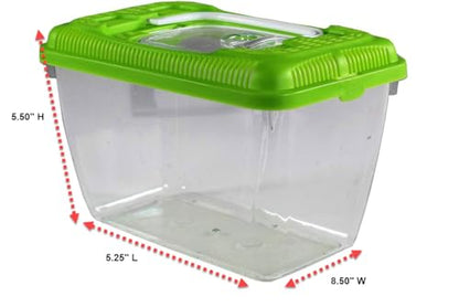 Penn-Plax Small World Habitat – Portable Clear and Transparent Plastic Tank – Excellent for Small Critters and Creatures – Easy to Clean & Handle – 0.6 Gallon - size: 0.6 Gallon