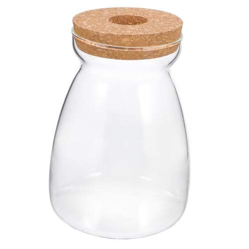Glass Propagation Jar for Micro Landscape Display and Stable Holding | Viewing, Wood and Glass Build, Living Room Study Placement, Aquarium Gravel or Embellishment Use