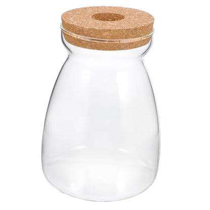 Glass Propagation Jar for Micro Landscape Display and Stable Holding | Viewing, Wood and Glass Build, Living Room Study Placement, Aquarium Gravel or Embellishment Use