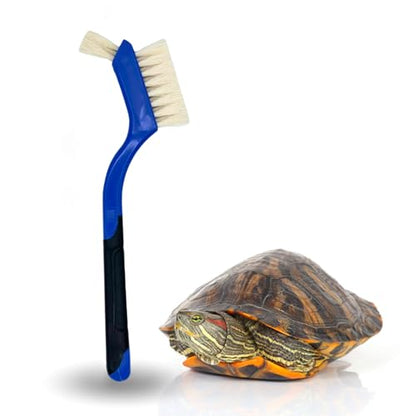 Turtle Cleaning Brush - Gently Remove Dirt from Turtles and Tortoises - Blue by Snout and Shell - color: Blue