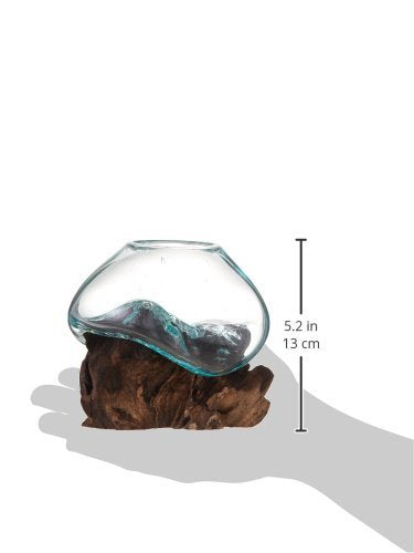 Molten Glass | #650-12 | Molten Glass & Wood Sculpture | Terrarium | Fairy Garden | Approximately 4.5" Wide | Natural Wood and Recycled Glass | - size: Approximately 4.5" Wide
