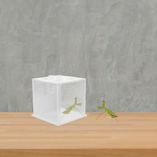 DECHOUS Reptile Feeding Box and Breeding Habitat Container Acrylic Pet Enclosure Suitable for Mantises, Stick Insects, Spiders, and Small Reptiles