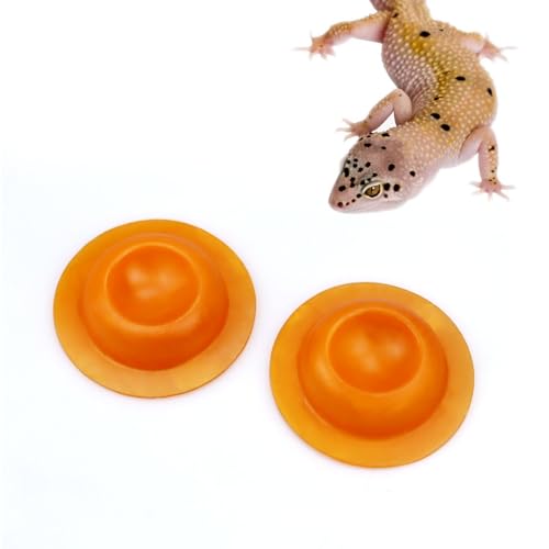 2 Pack Gecko Calcium Dish for Leopard Geckos Reptiles Small Pets Leopard Gecko Food Dish Calcium Bowl Reptile Water Dish Food Bowl