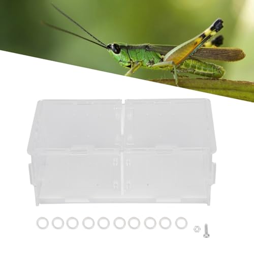 Acrylic Reptile Breeding Box, Feeding and Landscaping Box, Transparent with Movable Partition for Crickets and Small Reptiles