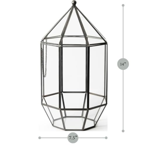 SuperMoss (90405) Glass Terrarium – Elegant Indoor Gardening Décor, Ideal Gifts for Plant Lovers, Modern Home & Office Decoration, 7.5” x 7.5” x 14”, Greenhouse