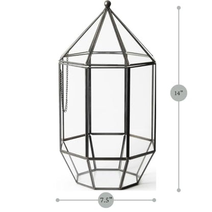 SuperMoss (90405) Glass Terrarium – Elegant Indoor Gardening Décor, Ideal Gifts for Plant Lovers, Modern Home & Office Decoration, 7.5” x 7.5” x 14”, Greenhouse