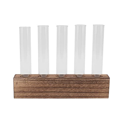 Pssopp Plant Propagation Station Glass Test Tube Plant Terrarium with Wooden Stand for Home Decor Office Living Room Garden (5 Tubes) - size: 5 Tubes