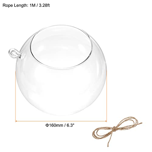 PATIKIL Round Globe Terrarium Air Plant Planter, 6.3 Inch Clear | High Borosilicate Glass, Hanging Decorations, for Succulent, Tillandsia - size: 6.3 Inch