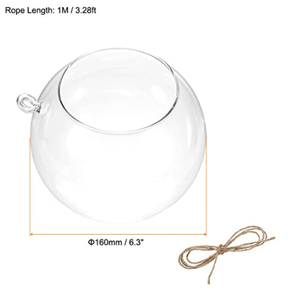 PATIKIL Round Globe Terrarium Air Plant Planter, 6.3 Inch Clear | High Borosilicate Glass, Hanging Decorations, for Succulent, Tillandsia - size: 6.3 Inch