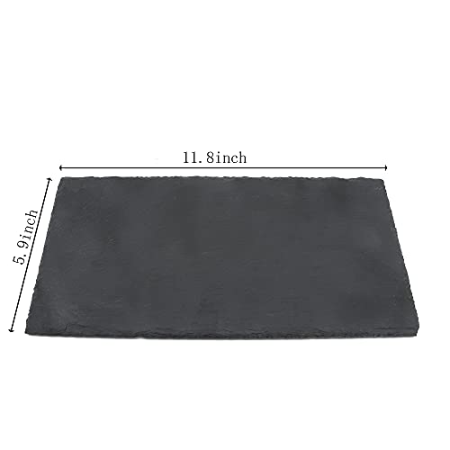 JIH Reptile Basking Platform 11.8x5.9 inch, Natural Rock Reptile Food Bowl | Tortoise Feeding Dish Habitat Decor - size: 30x15cm