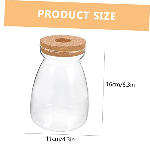 Glass Propagation Jar for Micro Landscape Display and Stable Holding | Viewing, Wood and Glass Build, Living Room Study Placement, Aquarium Gravel or Embellishment Use