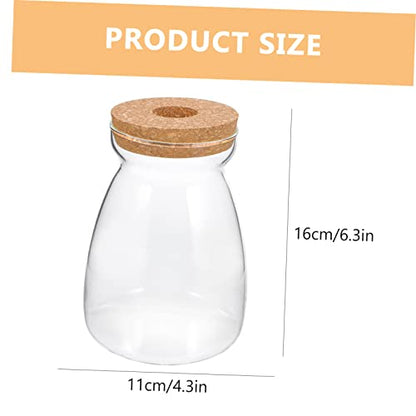 Glass Propagation Jar for Micro Landscape Display and Stable Holding | Viewing, Wood and Glass Build, Living Room Study Placement, Aquarium Gravel or Embellishment Use