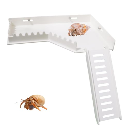 No-Drill Climbing Platform with Ramp, Hermit Crab Climbing Wall & Hideout, Multi-Level Platform with Ladder, No-Tools Mounting for Geckos, Small Lizards, Hamsters - color: White