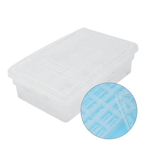 Angoily 20grids Practical Hatchery Box Incubator for Reptiles Transparent Incubation Container for Snakes Lizards and Turtles for Educational and Scientific Use