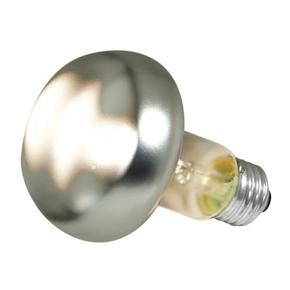 Zoo Med Repti Basking Spot Lamp Replacement Bulb 100 Watts Pack of 3 | 100W basking bulbs focus heat and UVA for diurnal reptiles