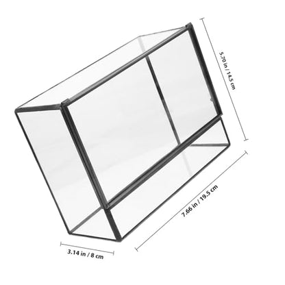 Happyyami Glass Terrarium Micro Landscape Container for Indoor Desktop Ecosystem Moss Planter Small Geometric Glass Holder 145x80x195mm Suitable for Succulent and Moss Gardening
