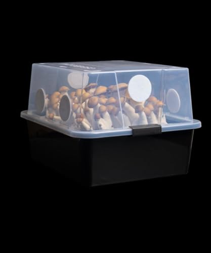Grower's Select 66Q Large Mushroom Monotub Fruiting Chamber with Filter Disks and Liner - size: 66 Quart