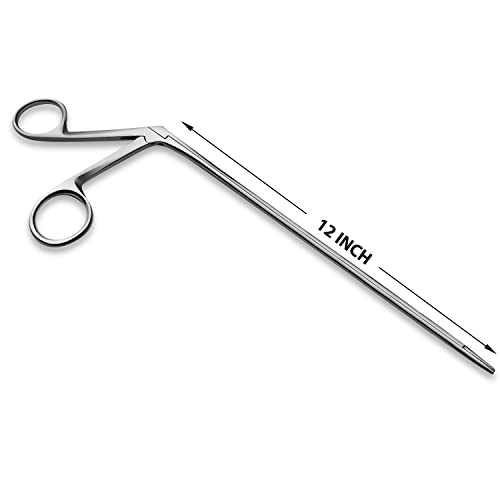 Precise ENT Procedures with Alligator Ear Forceps - Curved Jaw Design, Non-Slip Grip Handle, Fine-Tip, Reusable and Easy to Clean - 12 Inches - size: 12 Inch