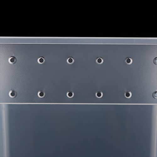 10 Pack Reptile Feeding Box Plastic Transparent Breeding Box for Bearded Dragon Lizard Spider Snake Tree Frog Reptlies (2 Pcs Large Size and 8 Pcs Small Size)