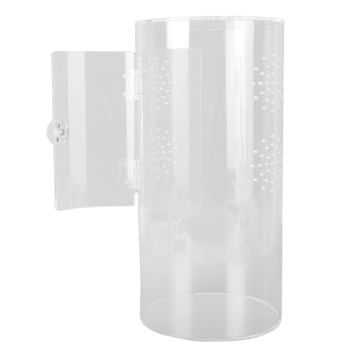 Tall Arboreal Tarantula Enclosure, Acrylic Reptile Terrarium with Front Opening Door for Jumping Spiders Lizards Snails, 6 x 6 x 12in 360 Visibility Secure Latch