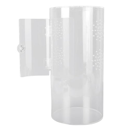 Tall Arboreal Tarantula Enclosure, Acrylic Reptile Terrarium with Front Opening Door for Jumping Spiders Lizards Snails, 6 x 6 x 12in 360 Visibility Secure Latch