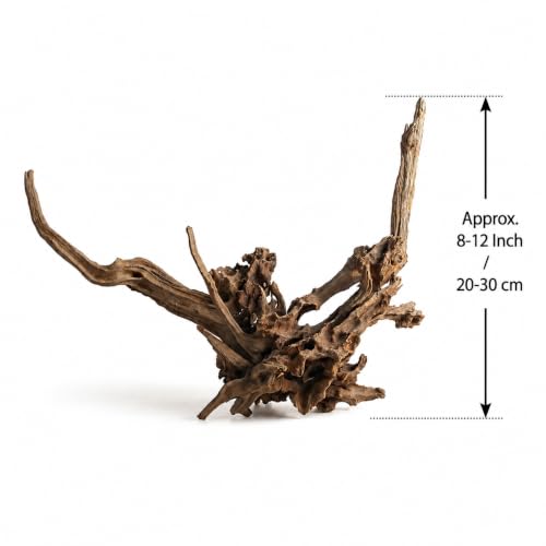 emours Natural Aquarium Driftwood, Upright Root Style Wood for Fish Tank Decor, Unique Driftwood for Aquascape, Terrarium and Reptile Display, 1 Piece (8-12" (20-30 cm)) - size: 8-12" (20-30 cm)