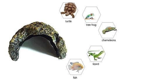 Reptile Habitat, Turtle Hideout,Water Tank Decoration for Fish, Reptiles, Amphibians,Frogs, Snakes,Lizards,Shrimps, Spiders and Small Animals… - size: Turtle Hide 01